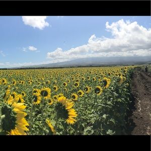 Meet your Posher, Sheena